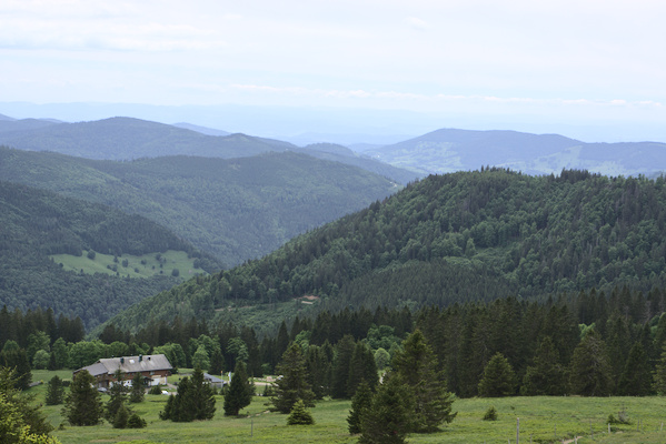 multiple layers of mountains with trees and blue sky in the background