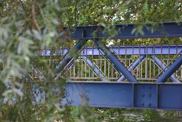 blue bridge from the side with leaves in the foreground and background
