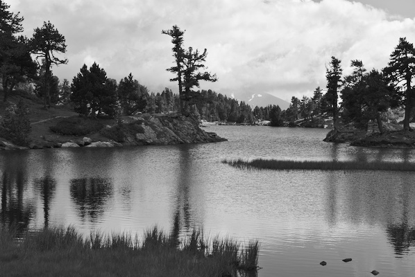 Lac Achard with trees on the waterside and mountains with snow in the background (black and white)
