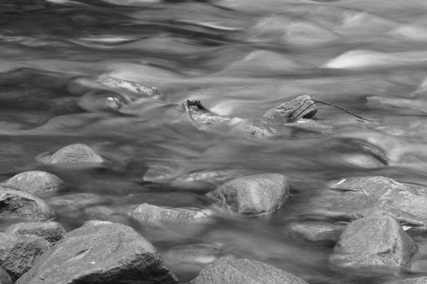 floating water in the Bronte Creek