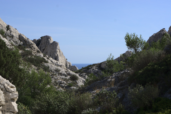 rocks and trees with a glimpse of the sea