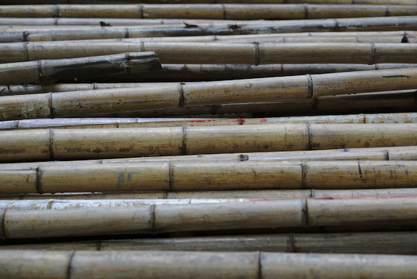 detail of a large pile of bamboo sticks
