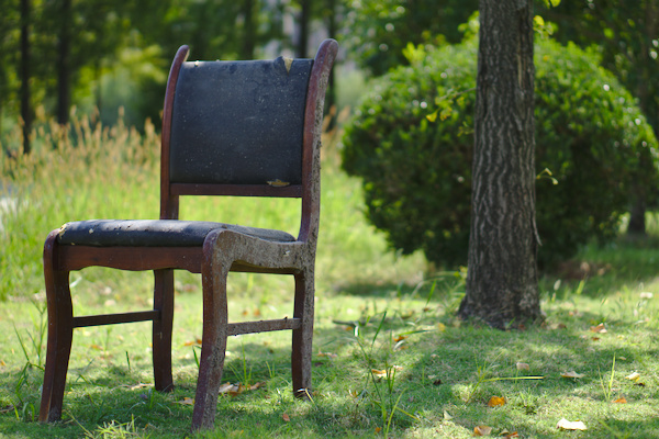 wooden chair in mid of green lawn