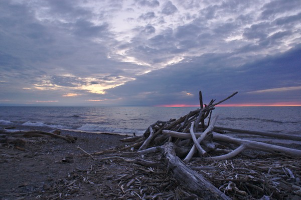 driftwood on the beach with cloudy sky during sunset
