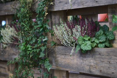 bright flowers and ivy on vertically arranged pallets