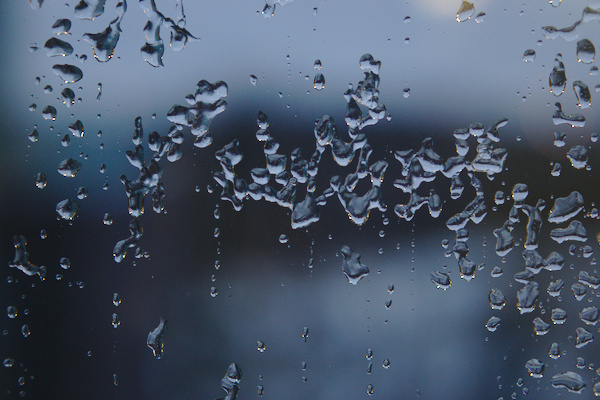 frozen rain on a window in detail