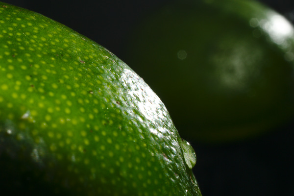 lime with a waterdrop and its reflection in the mirror