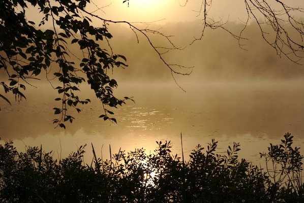 lake with morning mist and reflection of the sun