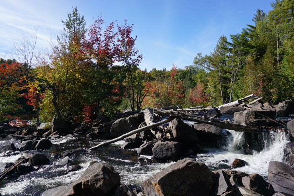 waterfalls with fall colors
