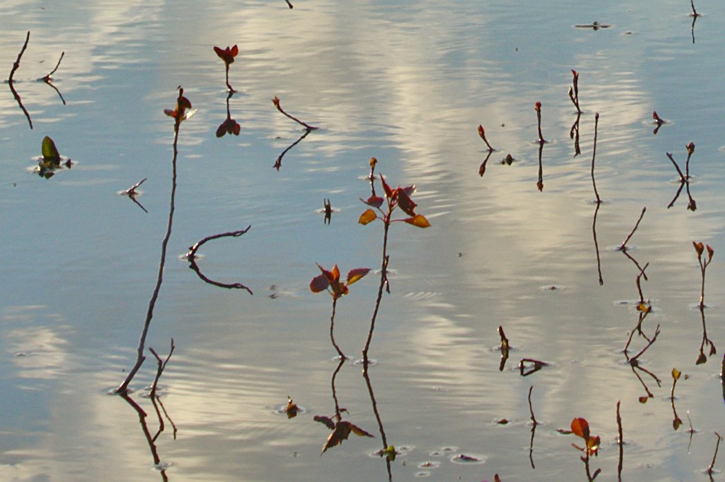 reflections of clouds in shallow water