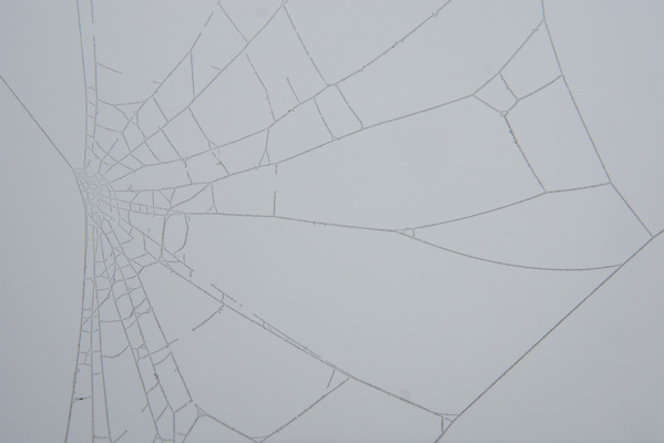 thin threads of a spiderweb with soft rime